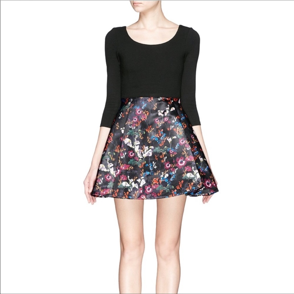 Alice + Olivia Amie Scoop Fall Garden Dress